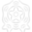 award (4).png