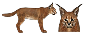 http://static.wixstatic.com/media/fc9cd6_d451d2102650a77bef9f5900c4209bb0.png_srz_275_115_85_22_0.50_1.20_0.00_png_srz