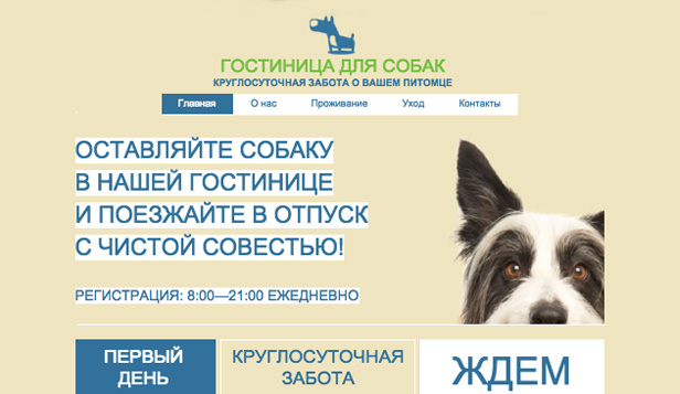 Животные сайт Животные сайт