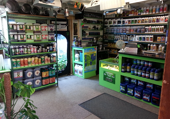 Midland Hydroponics Coventry Grow Lights Gavita 1000watt