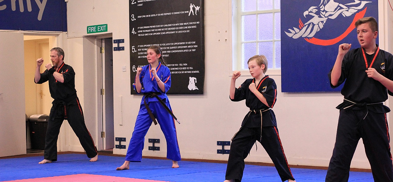 Richard Vince's Black Belt Academy, martial arts norwich, martial arts