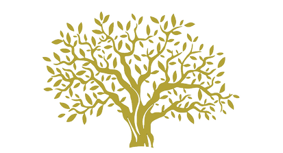 albero_edited.png