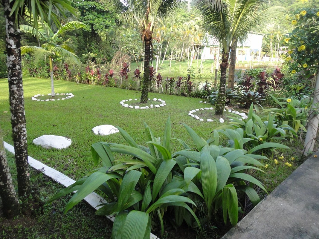 horta jardim e pomar: Dependência Química Alcoolismo e Drogas horta jardim e pomar: Dependência Química Alcoolismo e Drogas