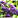 landscaping marion ma, landscaping south shore ma, G. H. Silva Landscape & Design is a full service landscape design, development and maintenance company. Landscaping Marion MA, South Shore MA, Cape Cod MA, gage silva