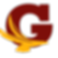 Transparent G Logo New Colors_edited.png