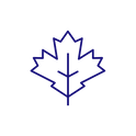 noun_autumn_1637666 (1).png