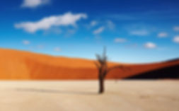 Sossusvlei.jpeg