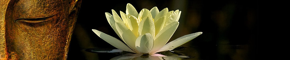 Image result for lotus sutra
