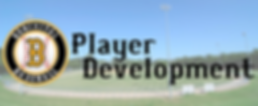 Bonivital Development.png
