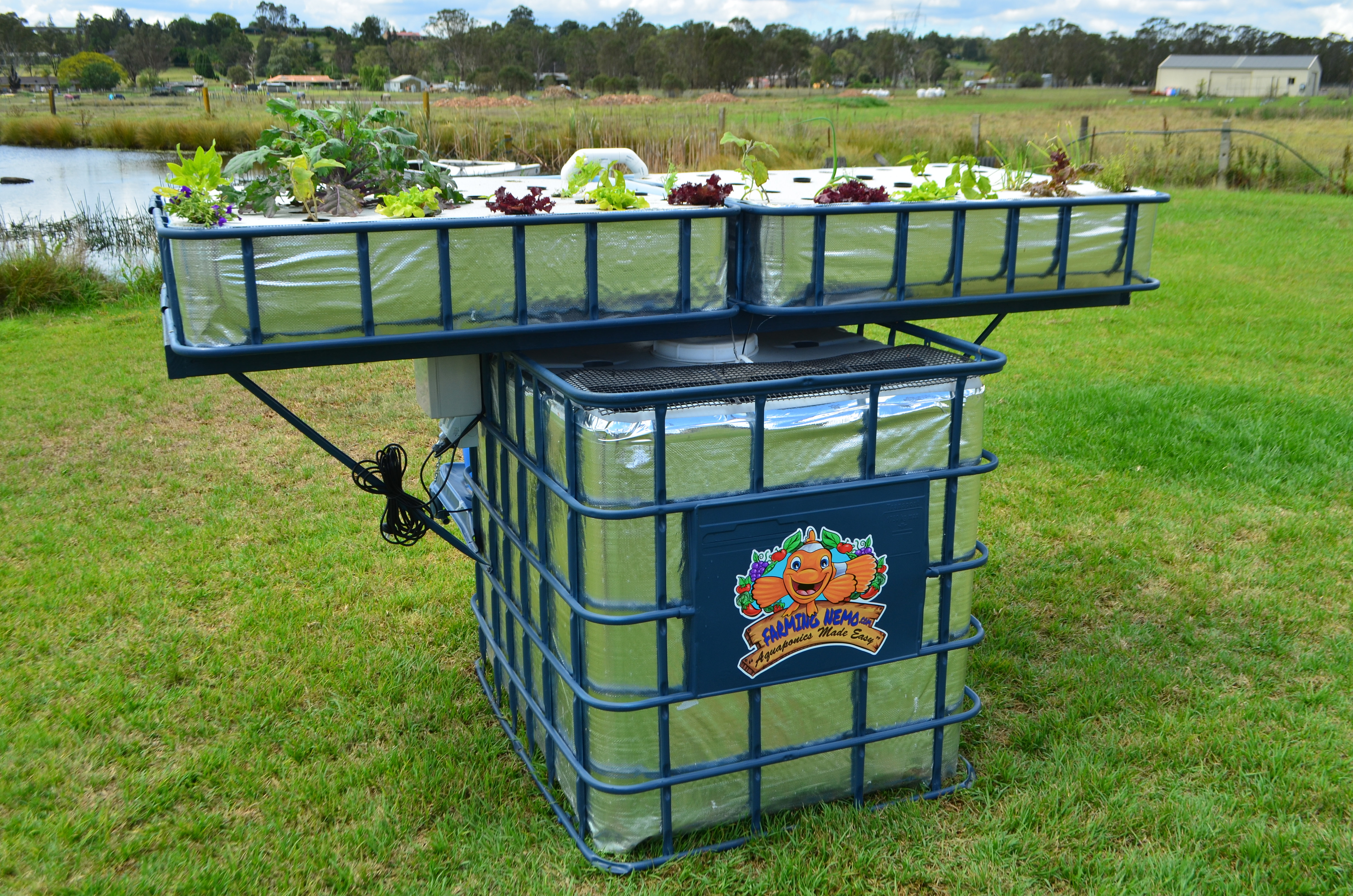 Ibc aquaponics