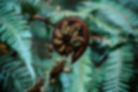 Image by Agathe Marty