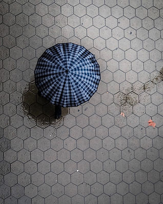 Image by Craig Whitehead