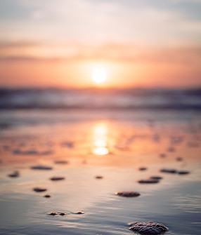 Image by Cole Keister