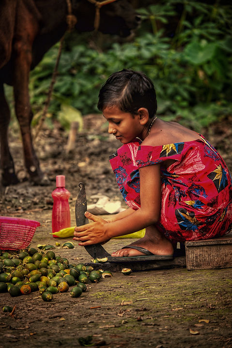 Image by sanjoy saha