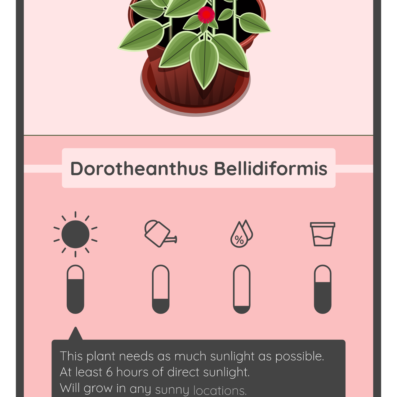 Rive animation thumbnail