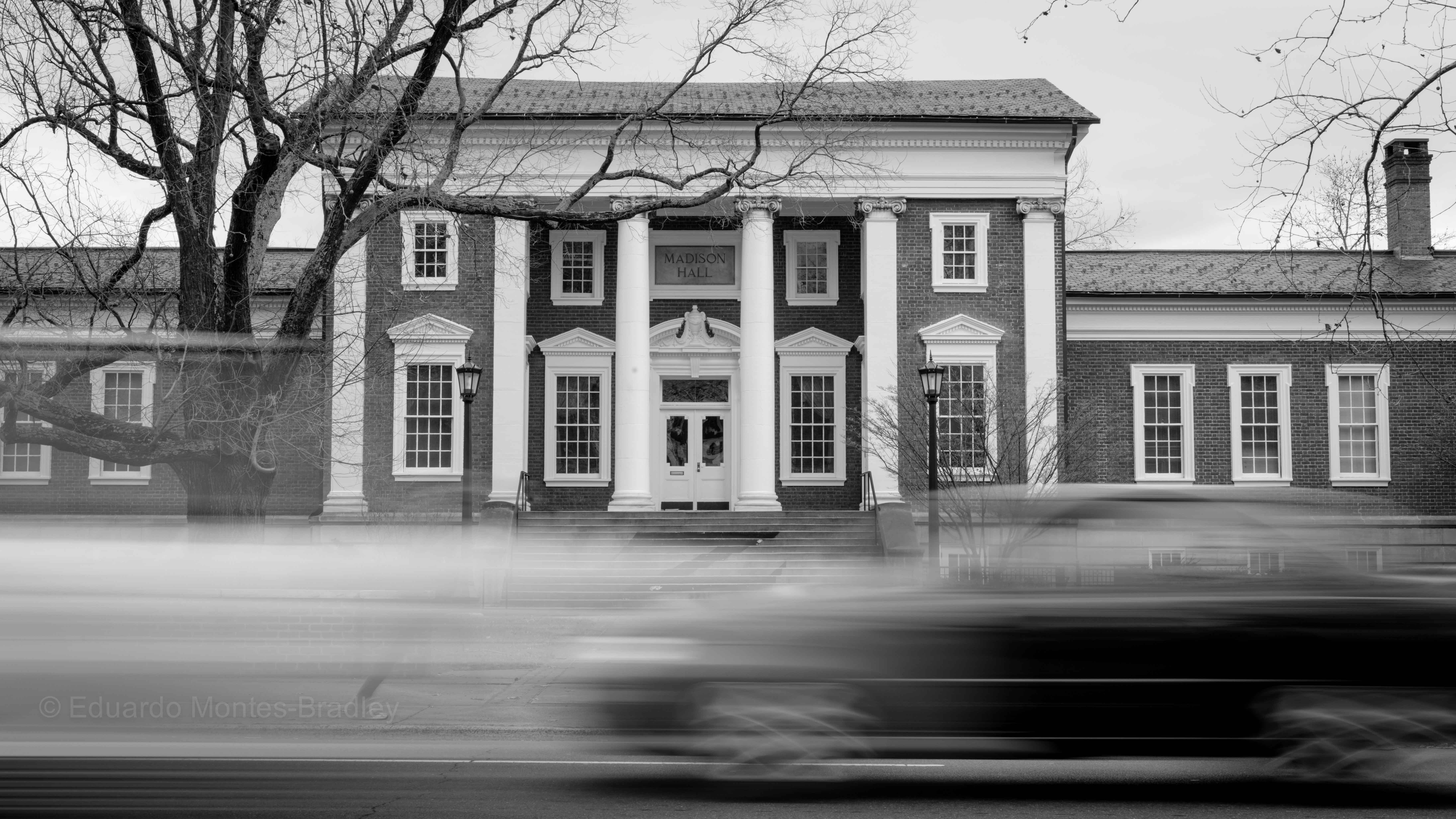 Documenting Charlottesville: A Reflection on Community, History, and the Arts