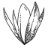 Logo de Omakasebox