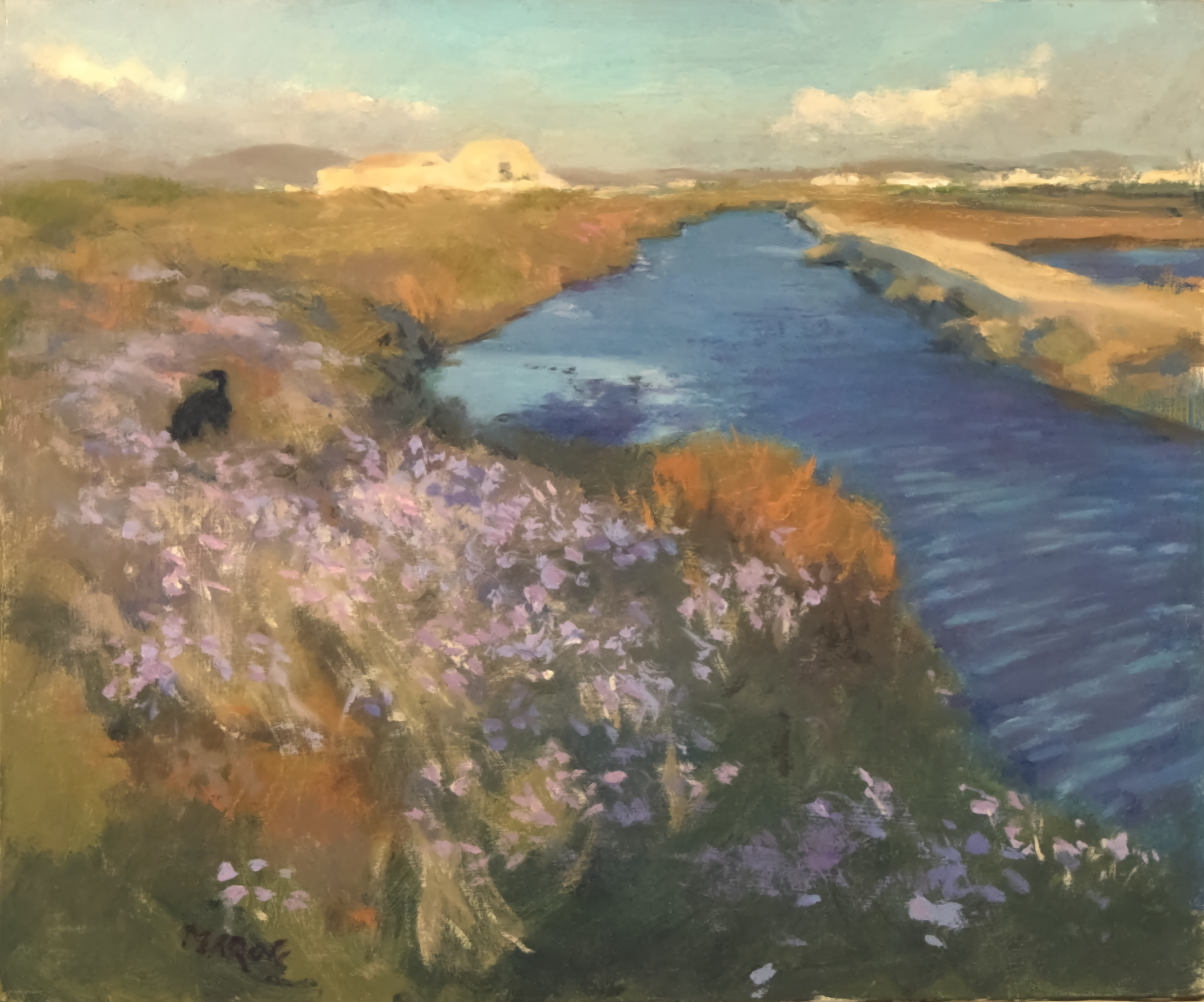 aramis si diverte tra i fiori davante la capanna