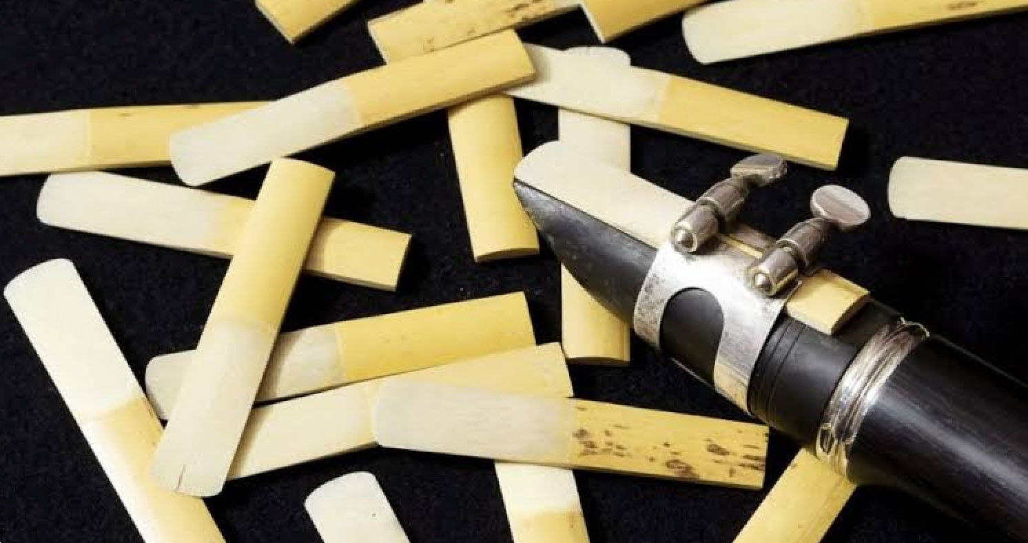 Clarinet Reed