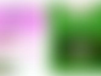 Journal du mois de mai