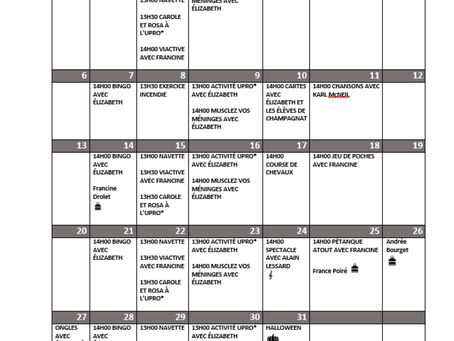 Calendrier des activités 