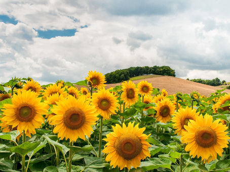 Modlitby 30. týden, 25. – 31. července 2022