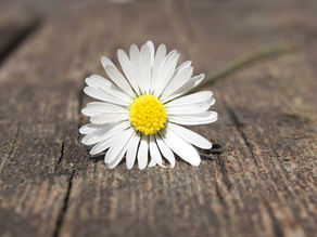 Modlitby 34. týden, 22. – 28. srpna 2022