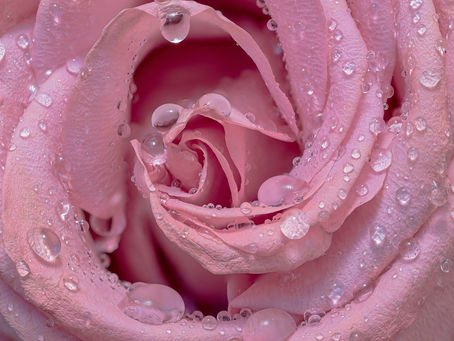 Modlitby 23. týden, 6. – 12. června 2022