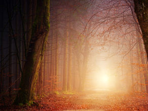 Modlitby 47. týden, 20. – 26. listopadu 2023