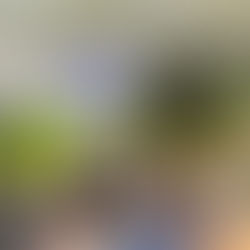 Pasaku kamolu tinot, gudrību krājot!