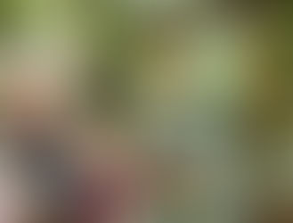 2.u klases ekskursija uz Tērveti.