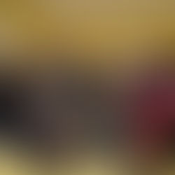 10. klases iesvētības – piedzīvojums džungļos!