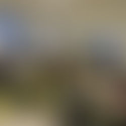 Pašiem savs robots – sumo cīkstonis