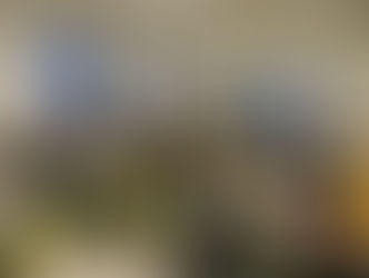 Pašiem savs robots – sumo cīkstonis