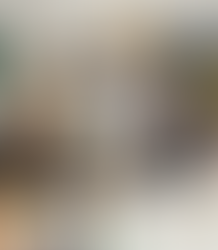 Konstruējam programmvadāmu robotu i-Robotu