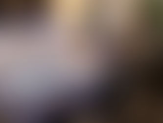 How VIbroacoustic Therapy may help in CBT and PTSD treatments