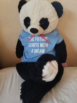 Vibroacoustic therapy panda