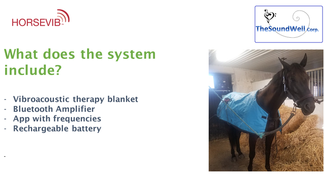 Slide7.PNG