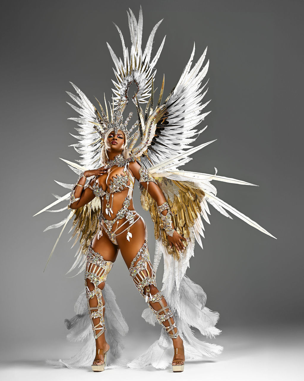 Miami Carnival 2025  Party Room Squad
