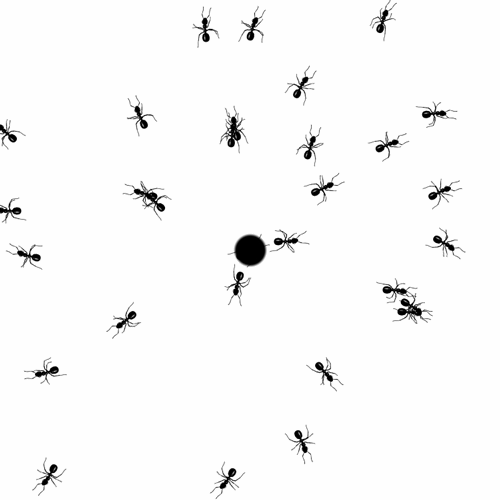 ants.gif