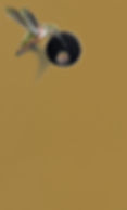 9B