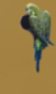 32D