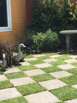 107042416_1578035919020808_2476307236213