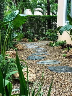 106017471_3050897261657681_5275776346290