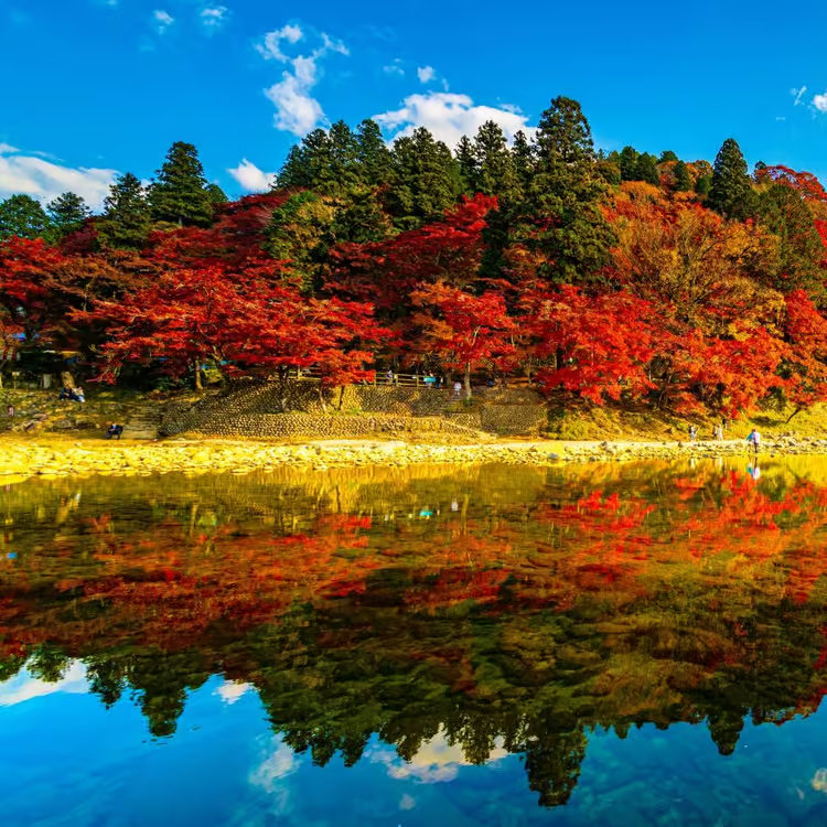 Autumn foliage paints the landscape in vivid reds and oranges at Toyokawa Inari, reflecting beautifully in the tranquil waters below.