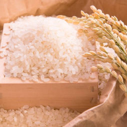 米。rice. staple food.