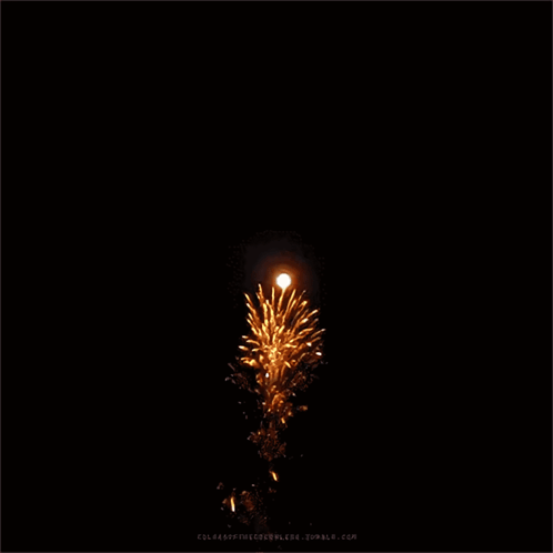 Fireworks4thOfJulyGIF (2).gif
