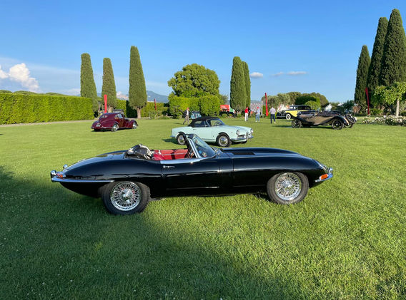 Immagine WhatsApp 2023-06-08 ore 08.17.42.jpg