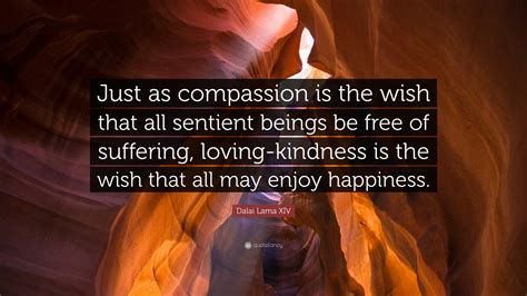 Cultivating Compassion: A Pathway to Meaningful Living