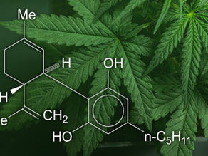 Understanding the Difference Between THC and THC-A: What You Need to Know